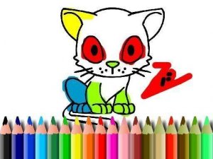 Kitten Palette Studio