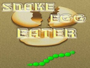 Track & Collect Logic Puzzle
