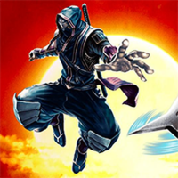 Kingdom of Ninja 6 Online Action Arcade Game
