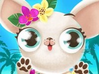 Miss Hollywood Vacation Game Online - Pet Adventure Game