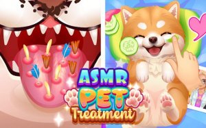 ASMR Pet Treatment Game - Relaxing Pet Care Online