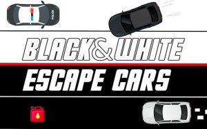 Black & White Escape Cars: Dual Control Driving Game