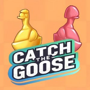 Catch The Goose Puzzle Game